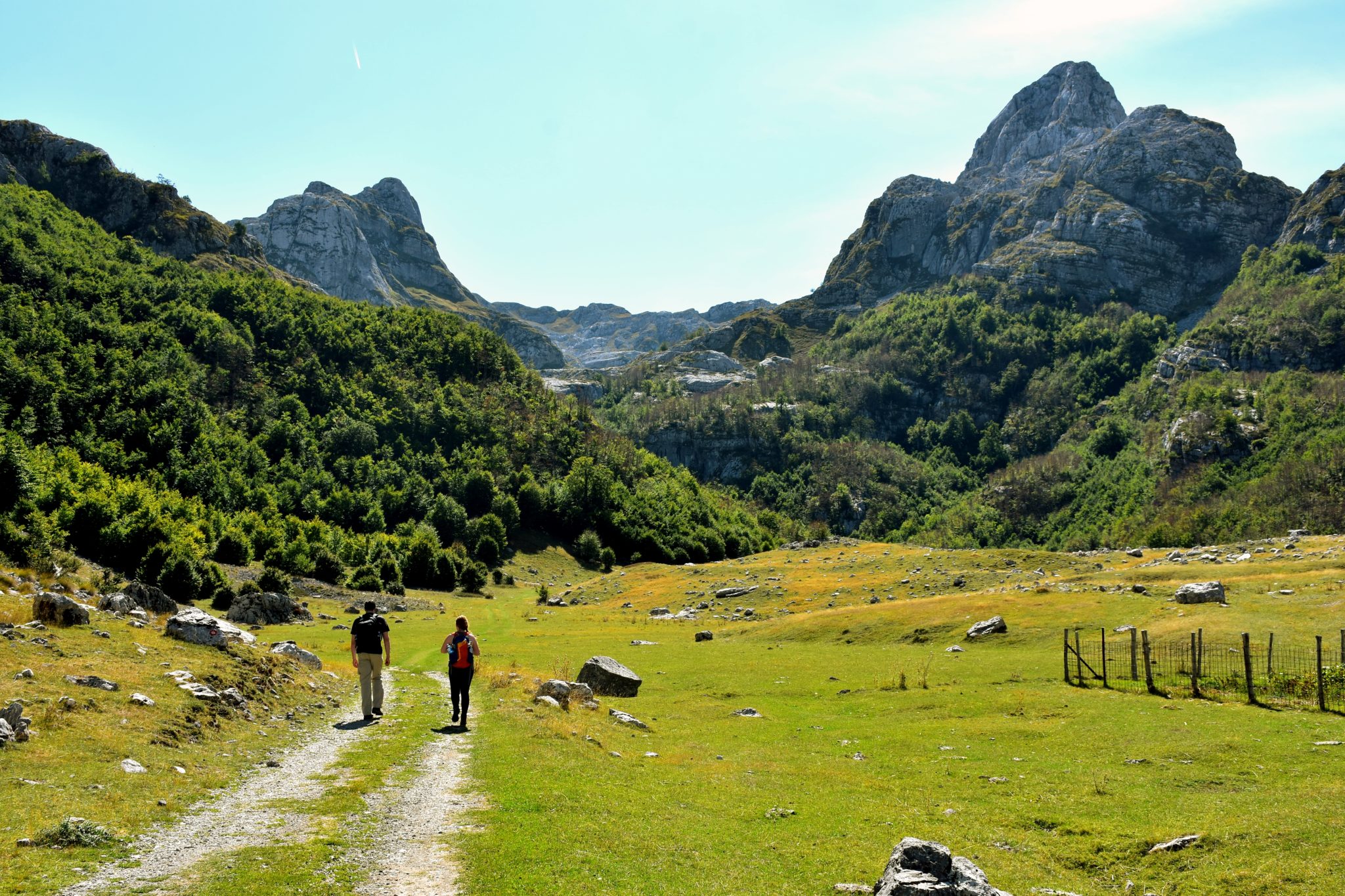 Two hikers in a wonderful open shot of the Montenegrin wilderness. Green fields, large beautiful trees, incredible mountain ranges and clear blue sky.