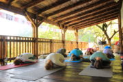 A yoga holiday group doing child's pose on an outdoor wooden deck at Villa Miela in Montenegro