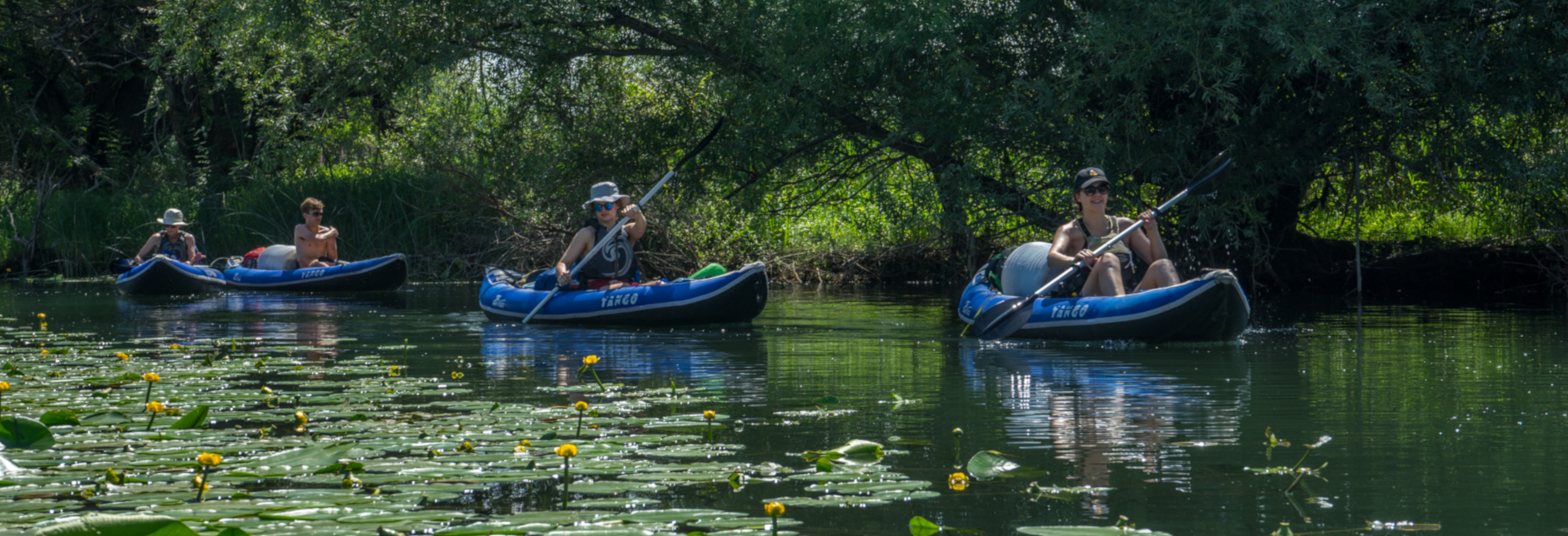 Kayaking Tours