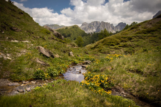 Albania