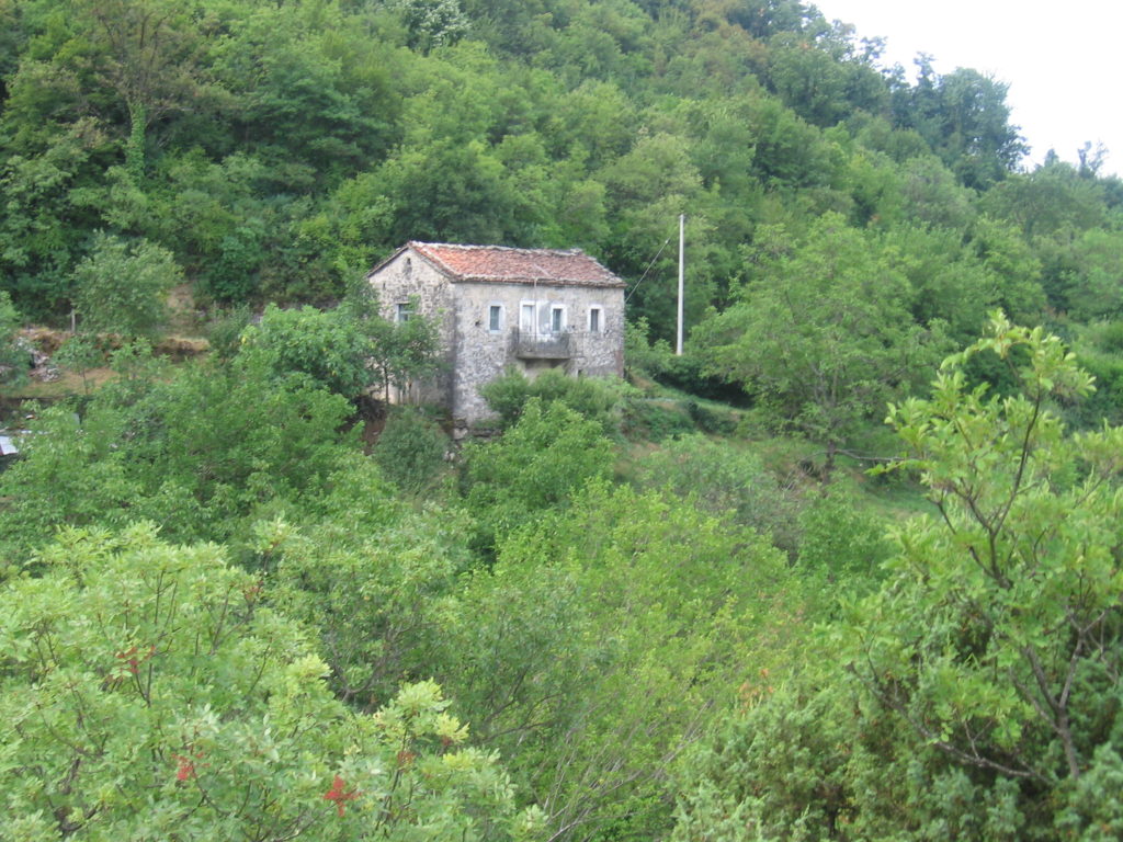 A ruined stone farmhouse surrounded by green forest