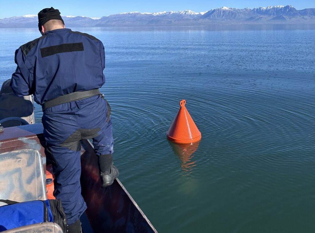 CZIP placed buoys and ropes around a new Dalmatian Pelican nesting site on Lake Skadar. Credit: CZIP