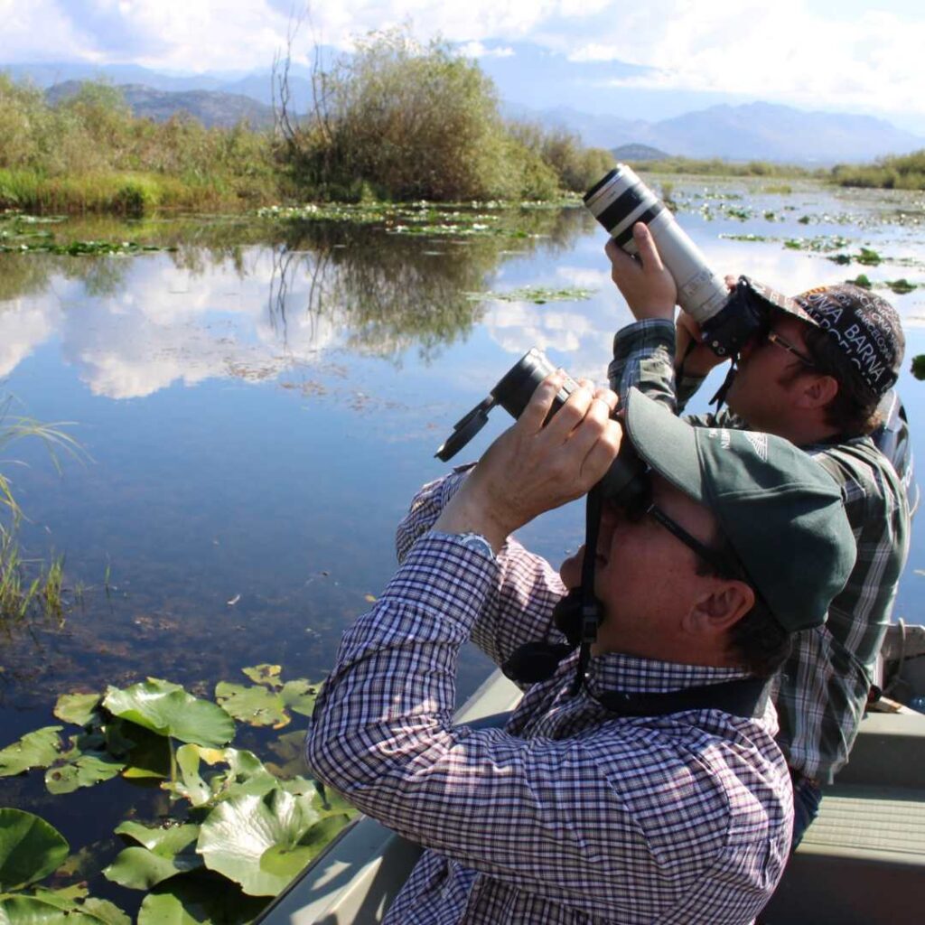 Birdwatching holiday Montenegro