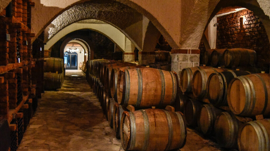 Bosnia Herzegovina wine route