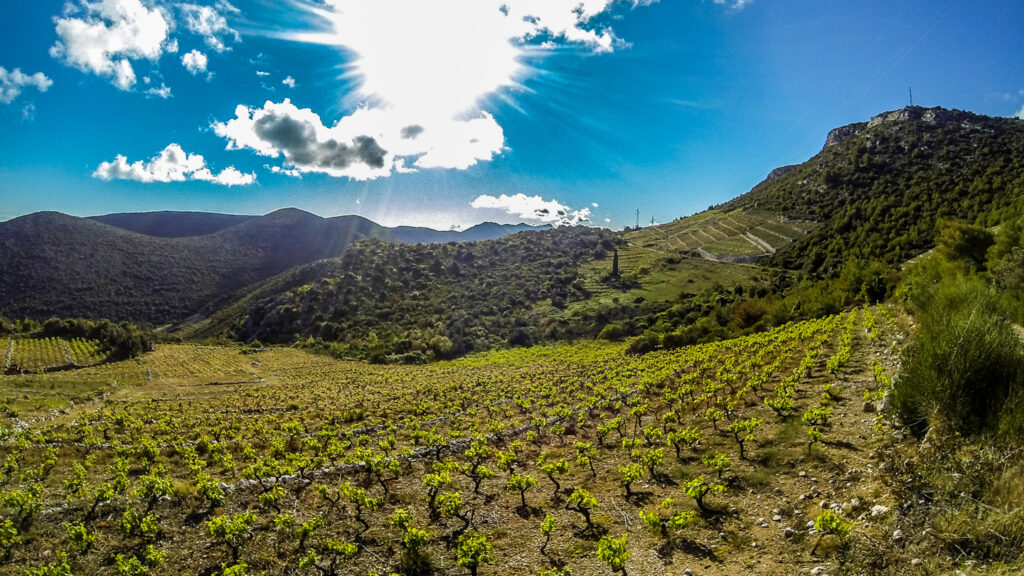 Peljesac is a top Balkan wine region in Croatia
