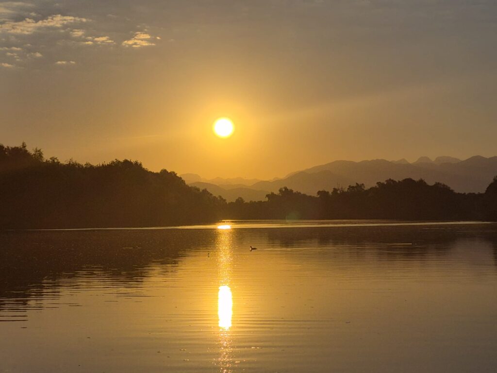 Golden sunrise over a calm Lake Skadar, with silhouetted trees along the shore and hazy mountains in the distance, the sun reflecting on the water.