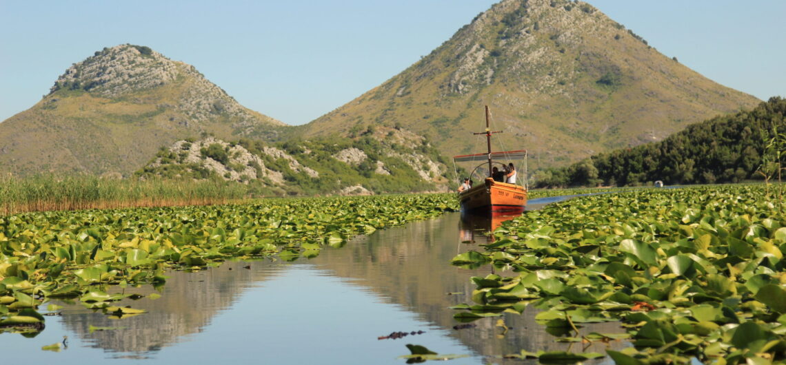 A small orange boat with people glides through a calm waterway at Lake Skadar in Montenegro, surrounded by green lily pads, with rocky hills and a clear blue sky in the background.