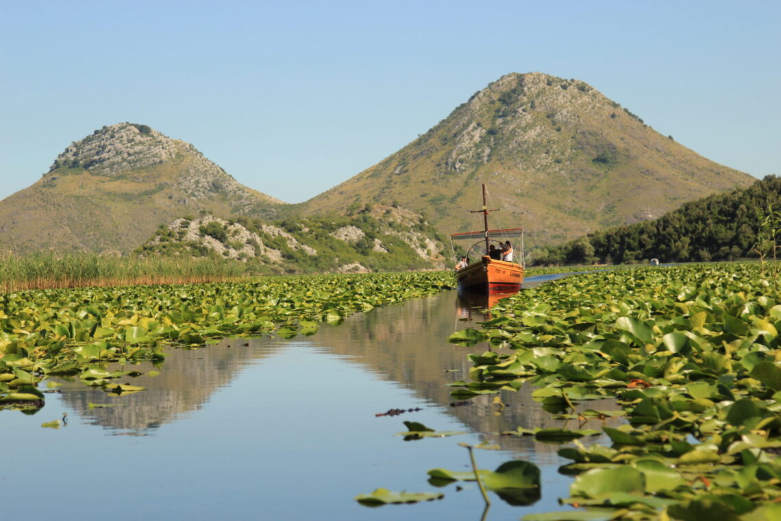 A small orange boat with people glides through a calm waterway at Lake Skadar in Montenegro, surrounded by green lily pads, with rocky hills and a clear blue sky in the background.
