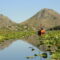 A small orange boat with people glides through a calm waterway at Lake Skadar in Montenegro, surrounded by green lily pads, with rocky hills and a clear blue sky in the background.