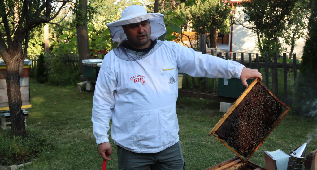 A beekeeper working on his hives in a tradition maintained in North Macedonia