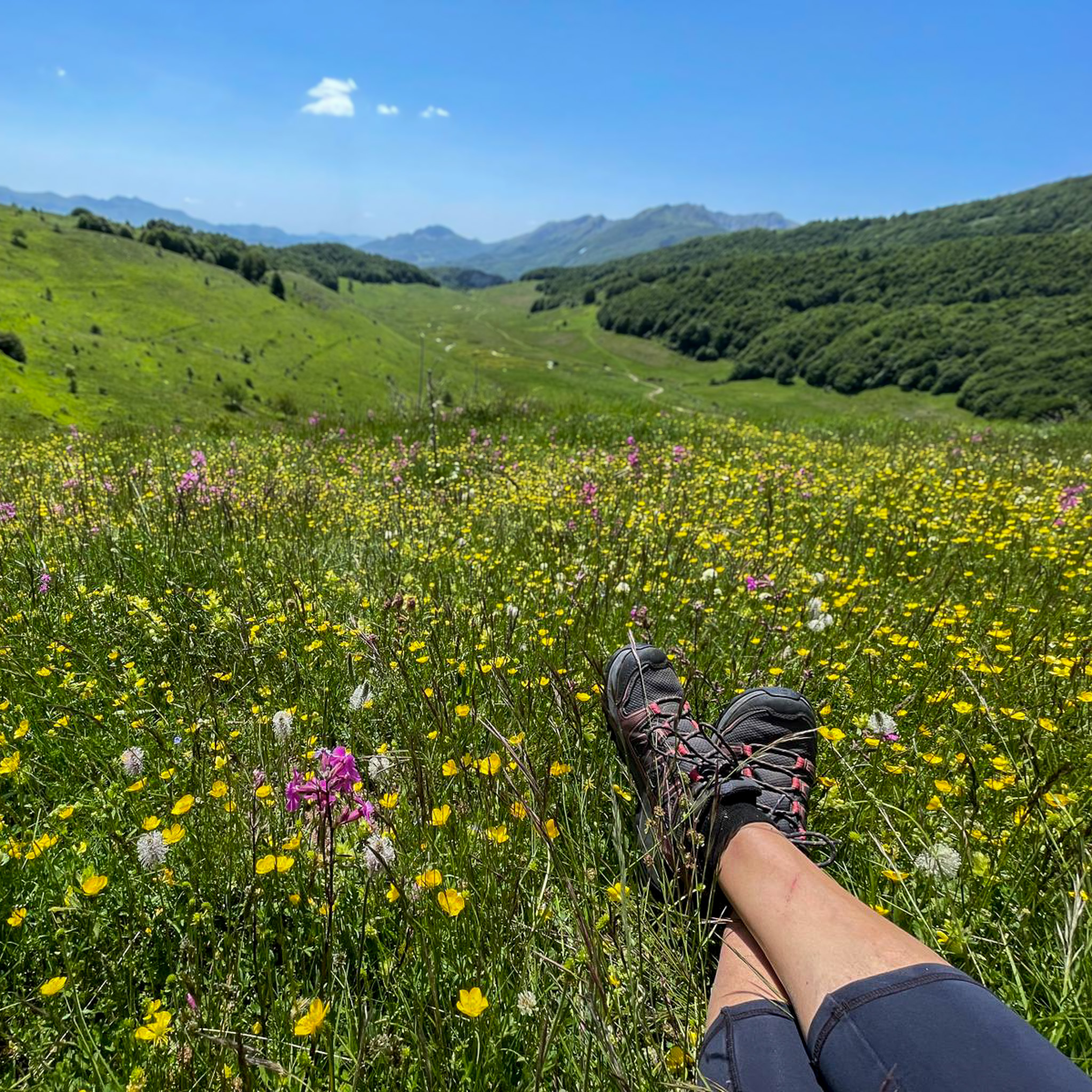 A hiker sits with their legs and boots in the foreground, surrounded by wild flowers, in a meadow while hiking in Bosnia and Herzegovina