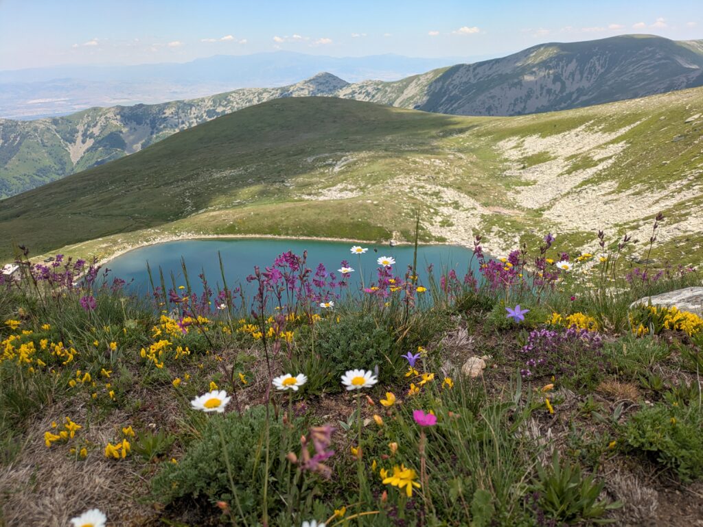 Alpine meadow with colorful wildflowers surrounding a small blue lake, green slopes and distant mountains under a clear sky.