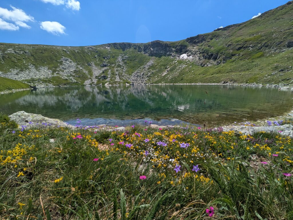 Alpine lake framed by rocky green slopes and a blue sky, with colorful wildflowers in the foreground.