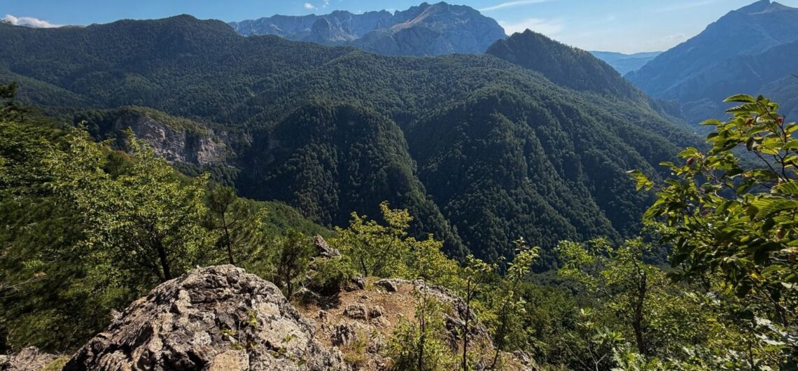Perućica Forest, Bosnia and Herzegovina