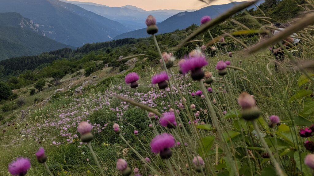 Mavrovo National Park, Macedonia