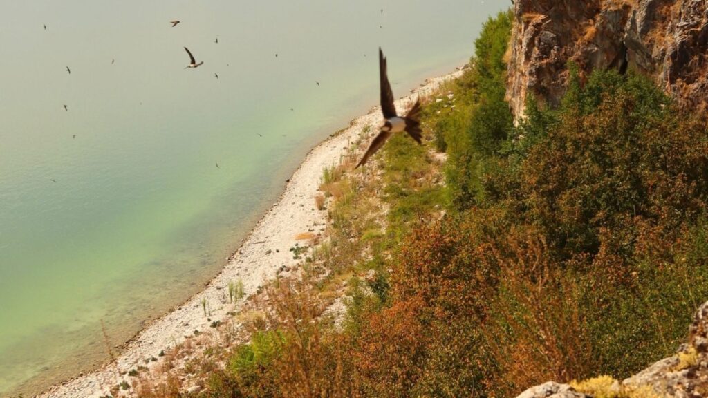 Galicia National Park, Macedonia